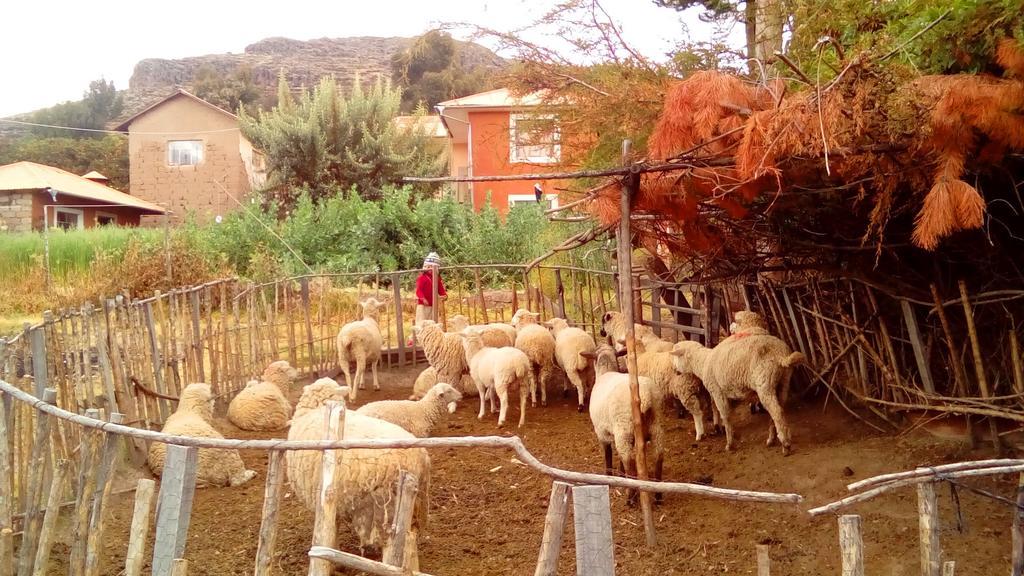Casa Titicaca Amantani Ocosuyo Bagian luar foto